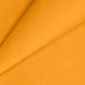 Ginger 038.jpg