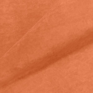 Teddy 959.jpg